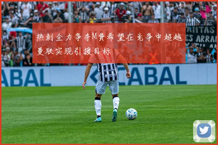 热刺全力争夺M费希望在竞争中超越曼联实现引援目标