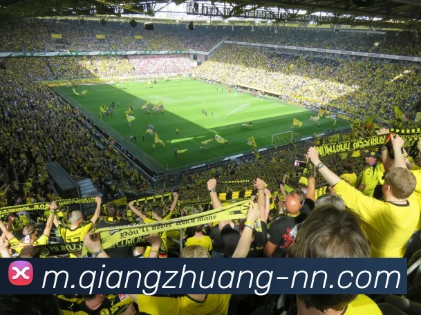 App Interface Preview